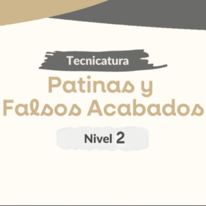 Modulo 1- Patinas 2